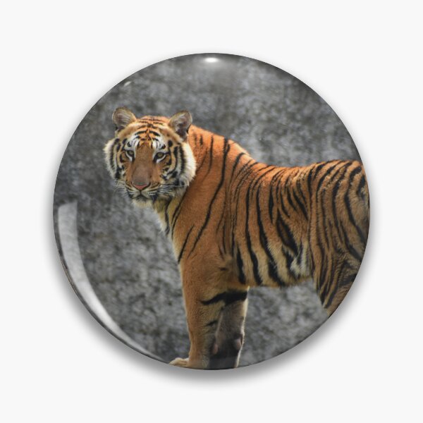 Artikelvorschau, Wildtiger entworfen und verkauft von newburyboutique.