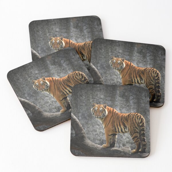 Item preview, Wild Tiger designed and sold by newburyboutique.