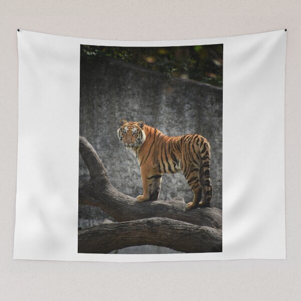 Item preview, Wild Tiger designed and sold by newburyboutique.