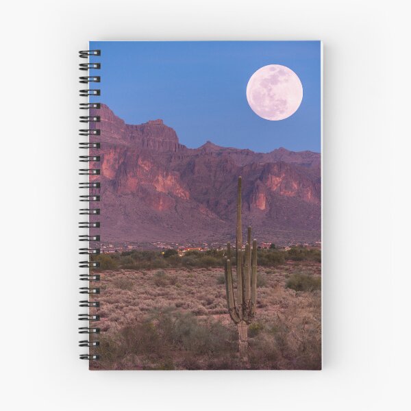 Item preview, Desert Cactus, Grand Canyon, Arizona, Full Moon designed and sold by newburyboutique.