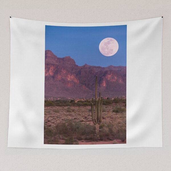 Item preview, Desert Cactus, Grand Canyon, Arizona, Full Moon designed and sold by newburyboutique.