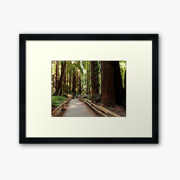 Item preview, Muir Woods National Monument, Mill Valley, California, USA designed and sold by rossacampbell.
