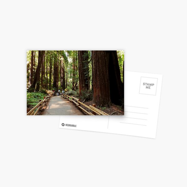 Item preview, Muir Woods National Monument, Mill Valley, California, USA designed and sold by rossacampbell.