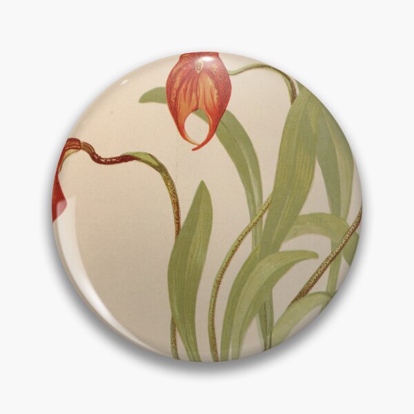 Item preview, Masdevallia Veitchii designed and sold by CSturgill2.