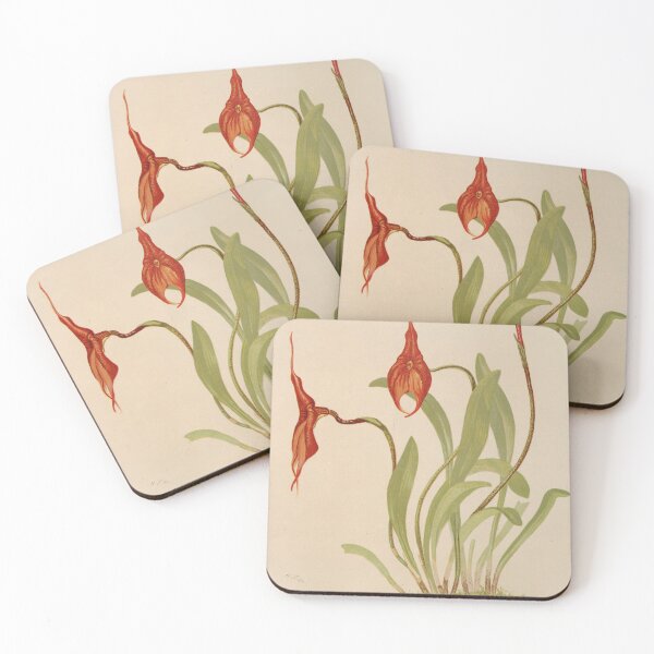 Item preview, Masdevallia Veitchii designed and sold by CSturgill2.