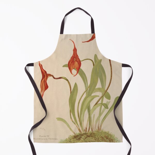 Item preview, Masdevallia Veitchii designed and sold by CSturgill2.