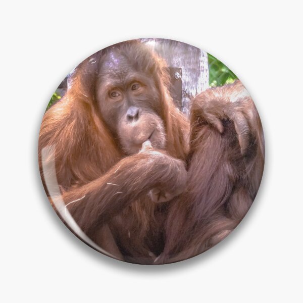 Item preview, The Naughty Orangutan designed and sold by Steven Jodoin.