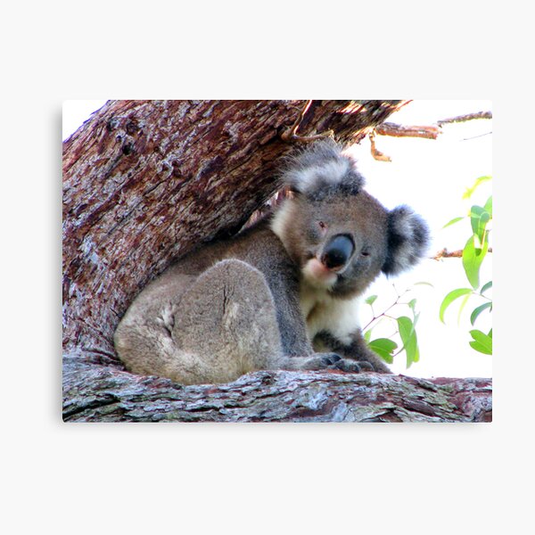 Good Night. Canvas Print