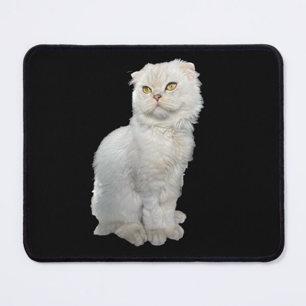 Item preview, Scottish Fold Cat designed and sold by SK-Apparel.