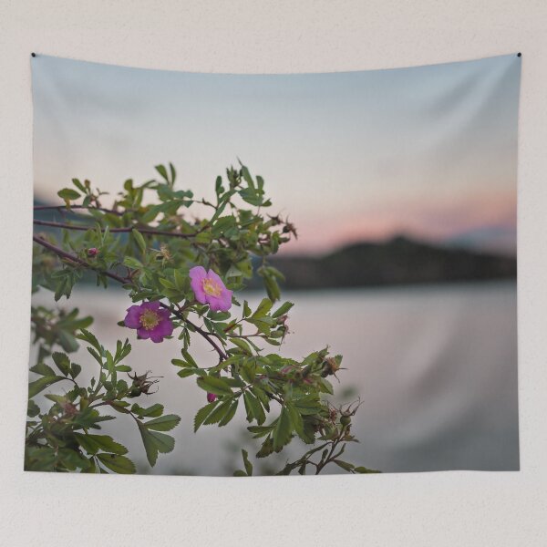 Item preview, Wild Roses at Summer Sunset on Okanagan Lake designed and sold by Amy Mitchell.