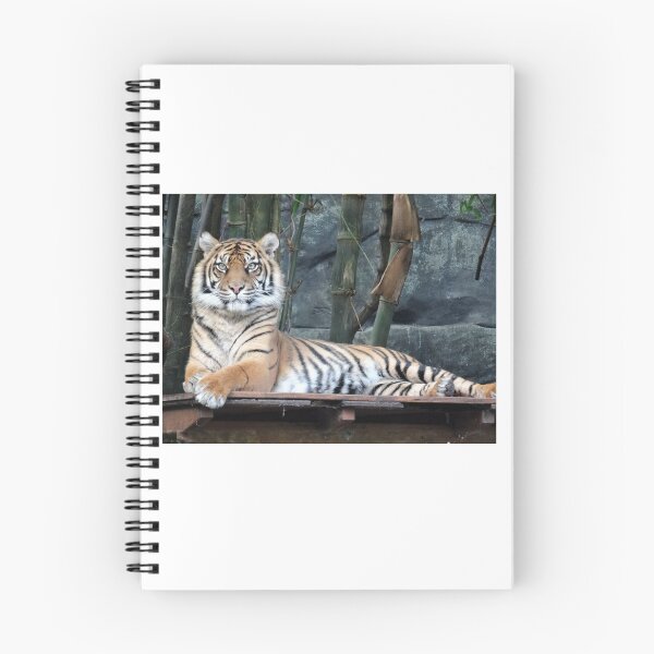 Item preview, Tiger 01 designed and sold by Lizardman22.