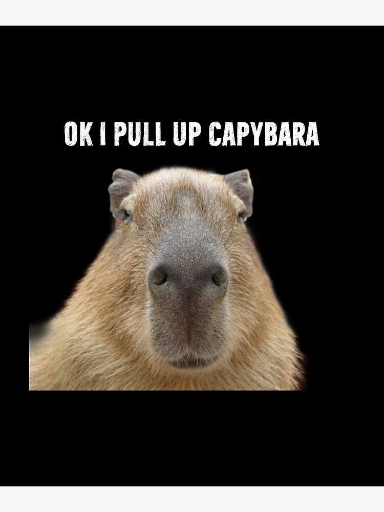  Ok I Pull Up Capybara Poster For Sale By Martw Redbubble