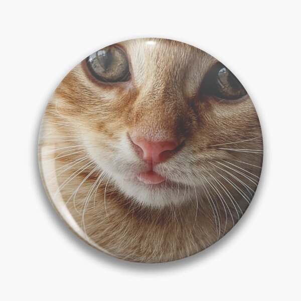 Item preview, Adorable Kitten designed and sold by newburyboutique.