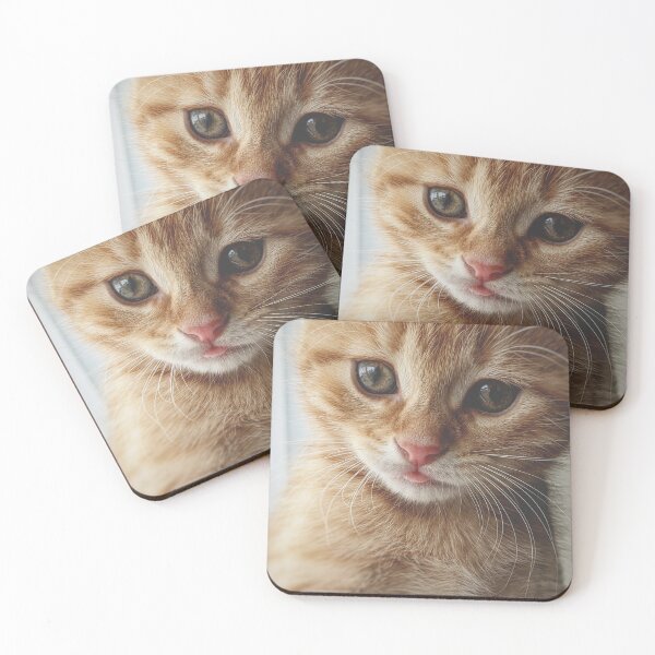 Item preview, Adorable Kitten designed and sold by newburyboutique.