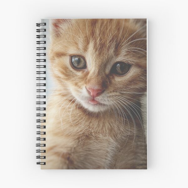 Item preview, Adorable Kitten designed and sold by newburyboutique.