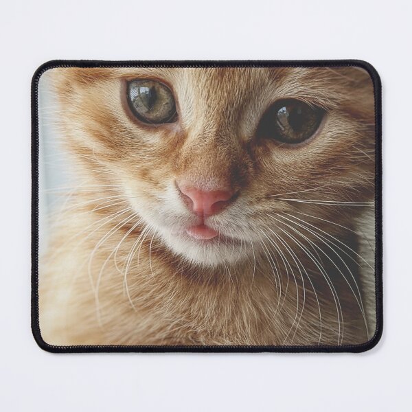 Item preview, Adorable Kitten designed and sold by newburyboutique.