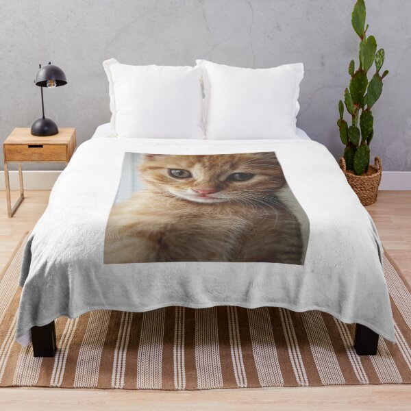 Item preview, Adorable Kitten designed and sold by newburyboutique.