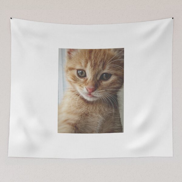 Item preview, Adorable Kitten designed and sold by newburyboutique.