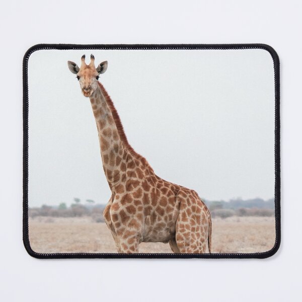 Item preview, Giraffe designed and sold by newburyboutique.