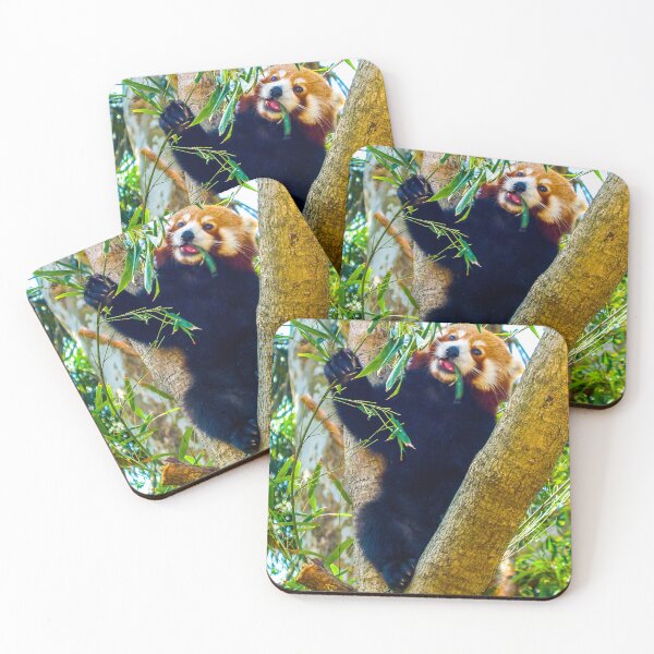 Item preview, Asian black bear Ursus thibetanus designed and sold by indiafrankk.