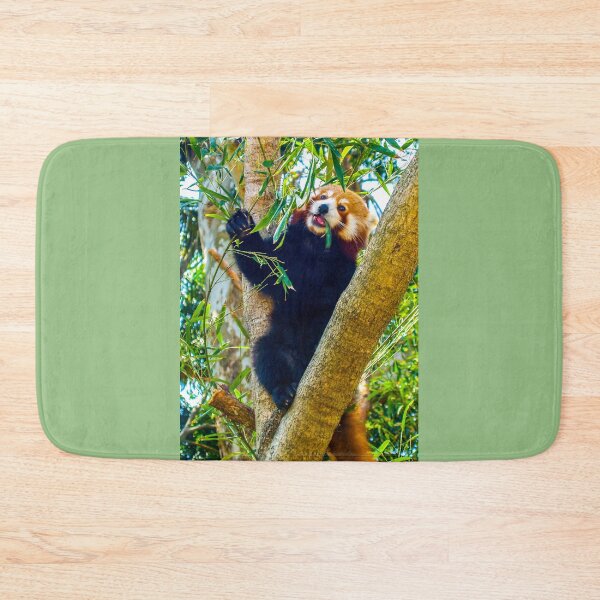 Item preview, Asian black bear Ursus thibetanus designed and sold by indiafrankk.