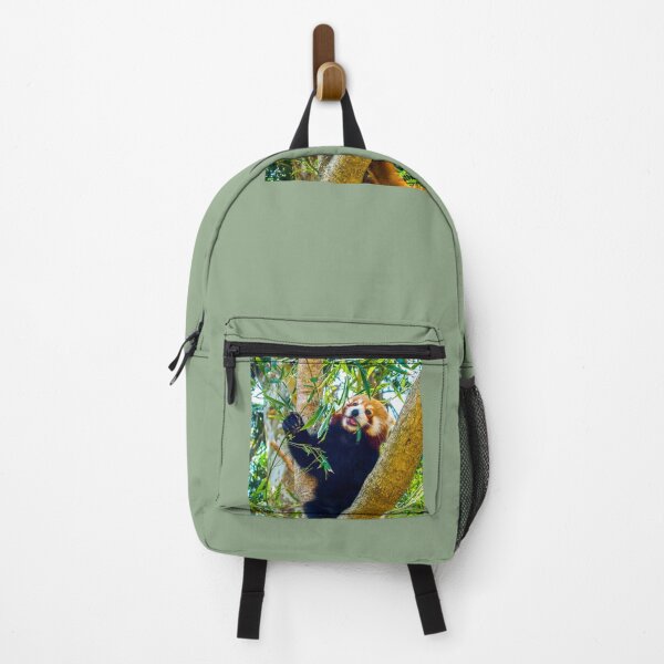 Item preview, Asian black bear Ursus thibetanus designed and sold by indiafrankk.