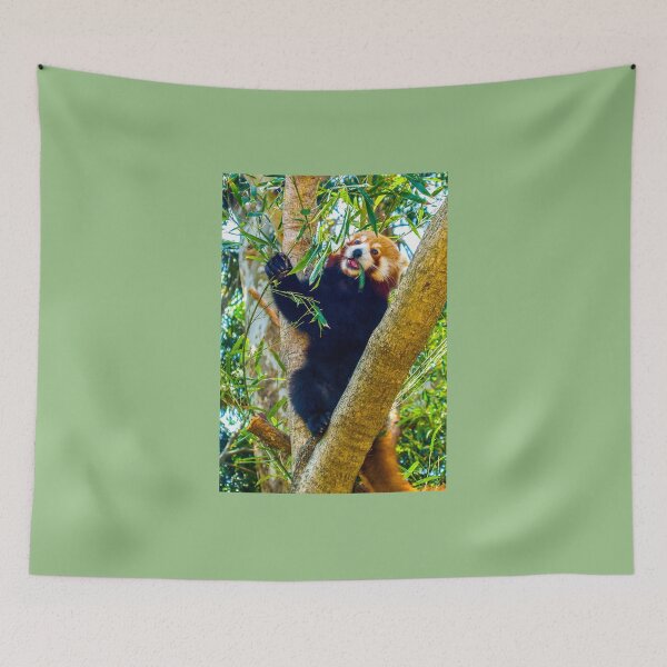 Item preview, Asian black bear Ursus thibetanus designed and sold by indiafrankk.