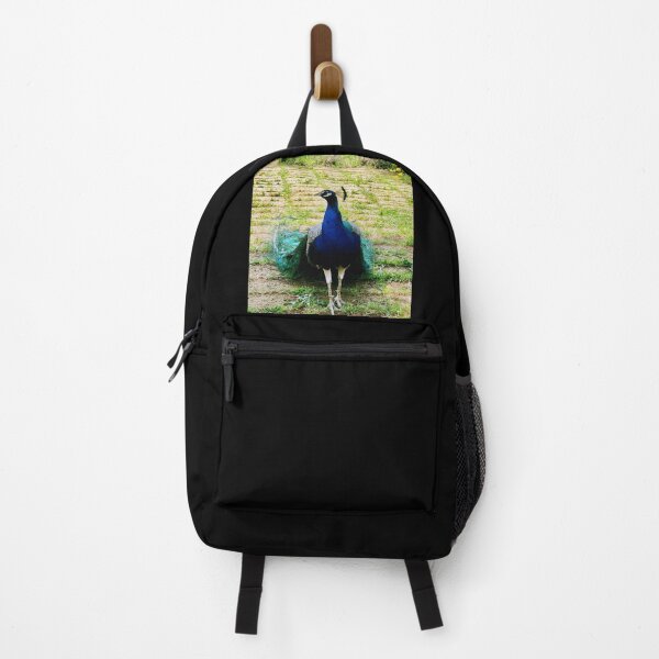 Item preview, Proud Parading Peacock designed and sold by KazM.