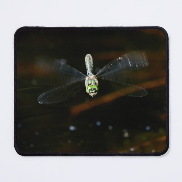 Item preview, Facing. Downy emerald designed and sold by Jouko Lehto Photography.