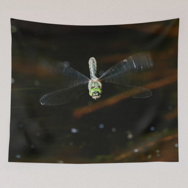 Item preview, Facing. Downy emerald designed and sold by Jouko Lehto Photography.