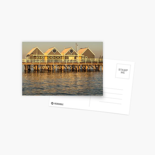 Sunset at the Jetty Postcard