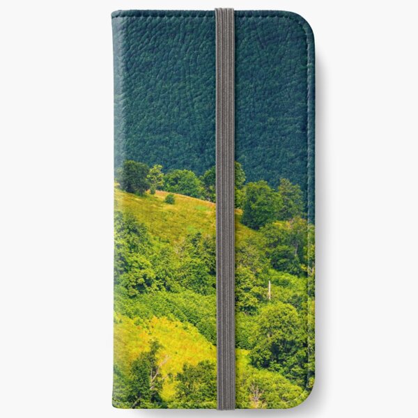 grassy hillside on mountain in summer iPhone Wallet