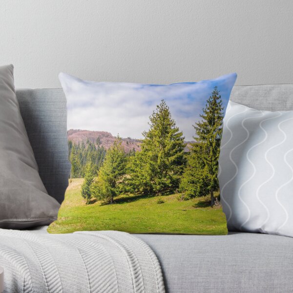 spruce forest in springtime landscape Throw Pillow