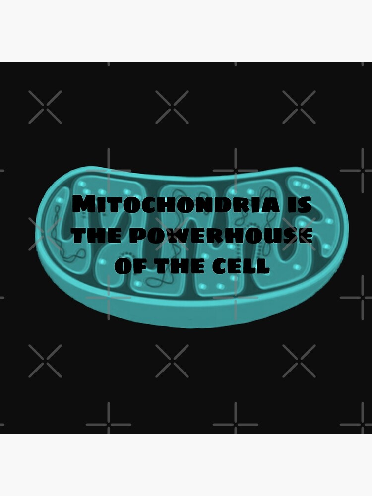 mitochondria-the-power-house-of-the-cell-poster-for-sale-by