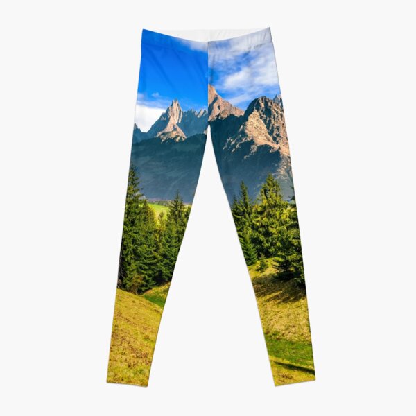 spruce forest on grassy hillside in tatras Leggings