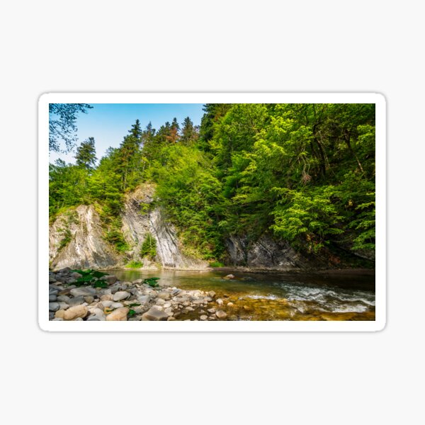 trees near the river in mountains Sticker