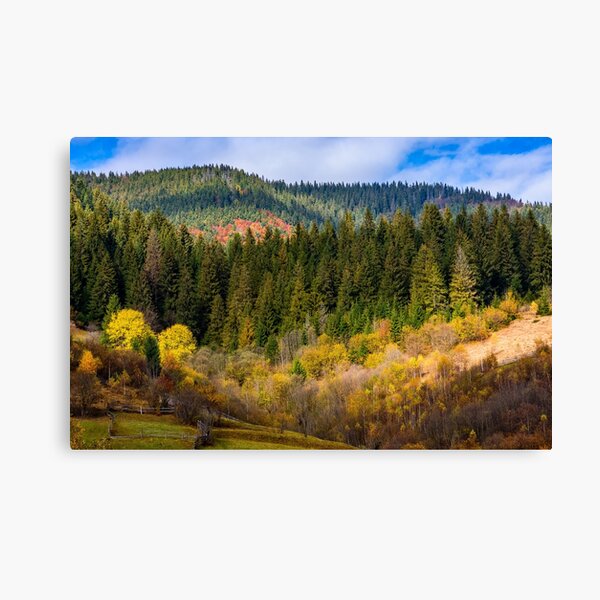 mountain rural area in autumn Canvas Print