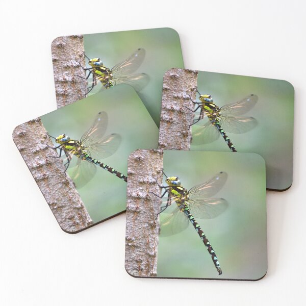 Item preview, Common Hawker Dragonfly on Birch Trunk.  isolated with out of focus background designed and sold by Umdash919.
