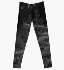 Into the Wolf's Lair ... Leggings