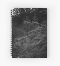 Into the Wolf's Lair ... Spiral Notebook