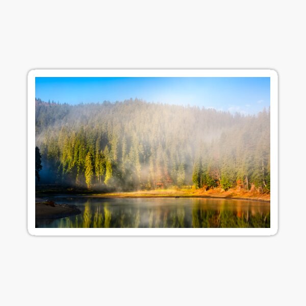 mountain lake on foggy morning in spruce forest Sticker