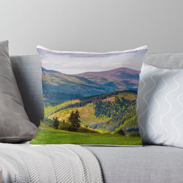 rural fields with fence on hills of Carpathians Throw Pillow