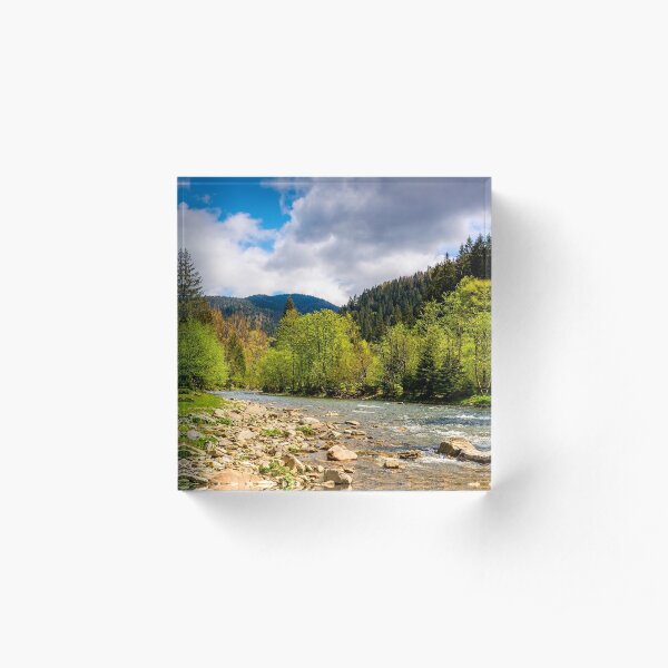 River among the forest in picturesque Carpathian mountains in springtime Acrylic Block