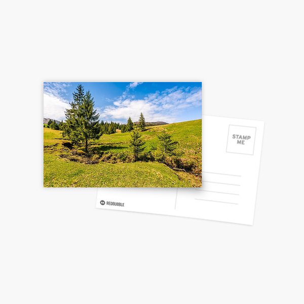 mountain stream among the forest on meadow Postcard