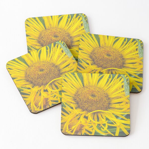 Item preview, The giant fleabane designed and sold by TimConstable.