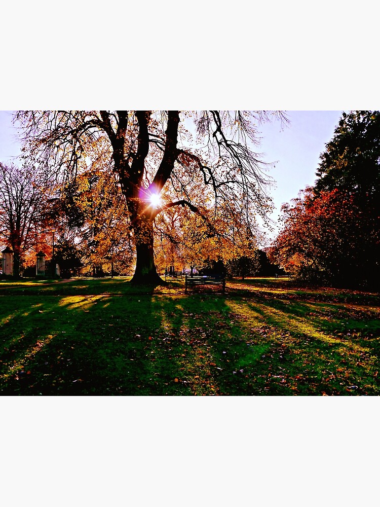 Autumn shadows by ScenicViewPics