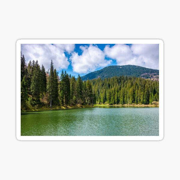 mountain lake Synevir among the forest Sticker