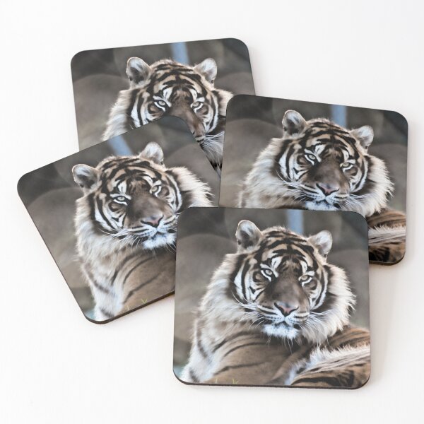 Item preview, Prerna designed and sold by Sheila Laurens.