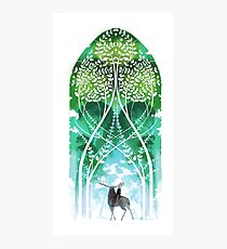 DA:I-The Emerald Graves Photographic Print