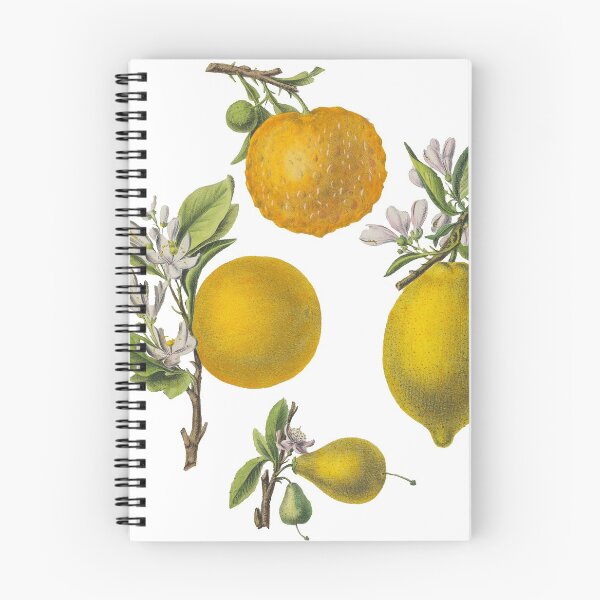 Item preview, FF - Citrus and Oranges designed and sold by imageresource.